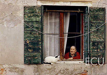 Color photo of a cat and a woman in the Dorsoduro sestiere of Venice, Italy
