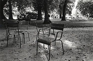 Black and white photo of the historic Jardin du Luxembourg on the Left Bank, Paris, France with Parisian chairs in a Parisian Garden